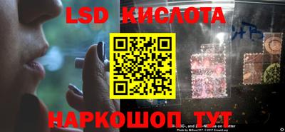 стаф Камышлов