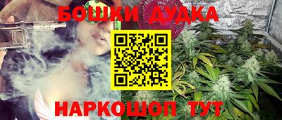 стаф Камышлов