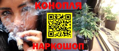 стаф Камышлов